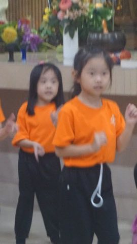 第十届青少年佛学生活营《丢丢的脚印》 照片 295