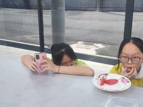 第十届青少年佛学生活营《丢丢的脚印》 照片 1027