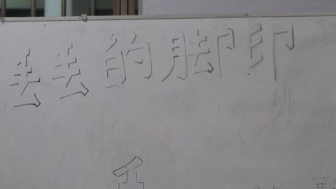 第十届青少年佛学生活营《丢丢的脚印》 照片 1517