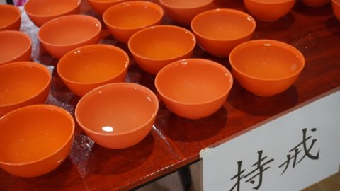 第十届青少年佛学生活营《丢丢的脚印》 照片 1932
