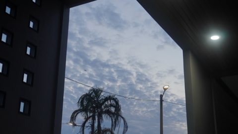 第十一届青少年佛学生活营《转个弯再出发》 照片 49