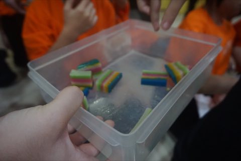 2024年佛学班活动剪影 照片 119
