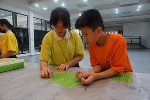 2024年佛学班活动剪影 照片 330