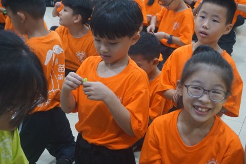 2024年佛学班活动剪影 照片 673