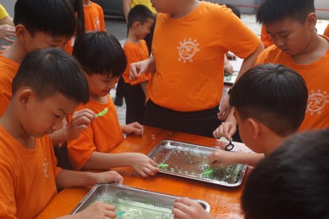 2024年佛学班活动剪影 照片 708