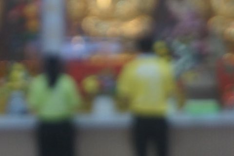 2024年佛学班活动剪影 照片 797