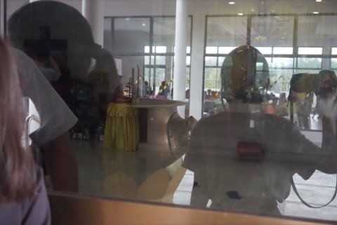 小学佛学营 照片 573