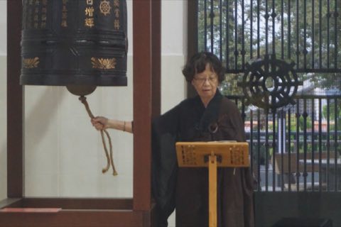 2024年卫塞节庆典 照片 168