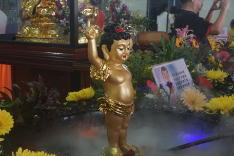 2024年卫塞节庆典 照片 412