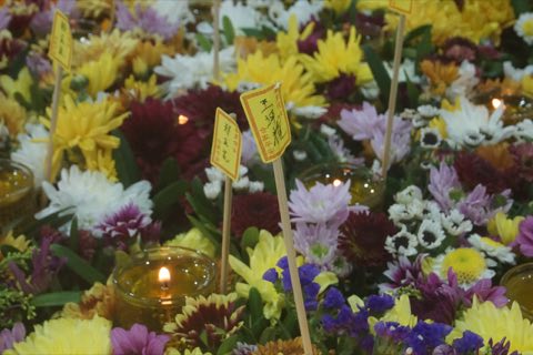 2024年卫塞节庆典 照片 513