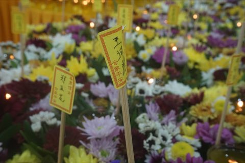2024年卫塞节庆典 照片 514