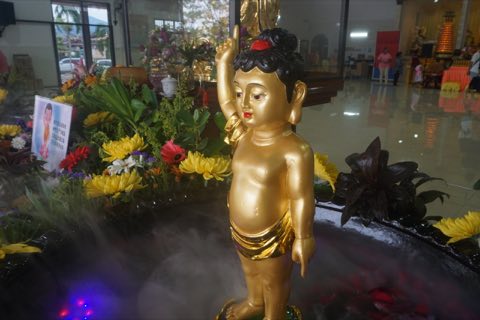 2024年卫塞节庆典 照片 598