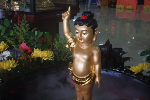 2024年卫塞节庆典 照片 599